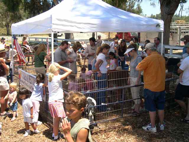 petting zoo nj