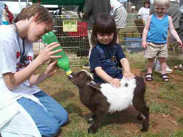 petting zoo in nyc