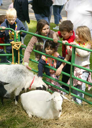 petting zoos new york